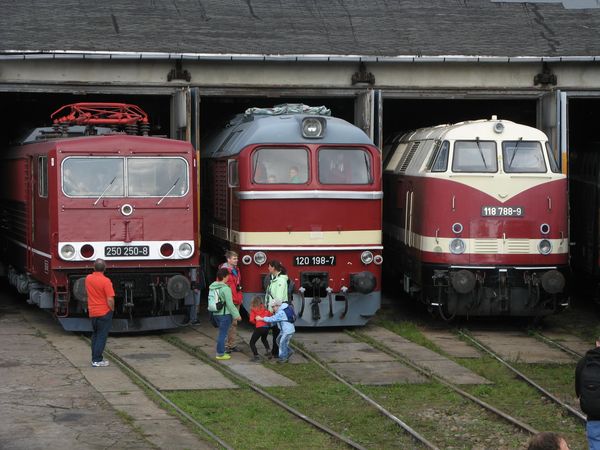 Bw-Weimar 11./12.10.2014 Bildautor: Stefan Scholz (63)